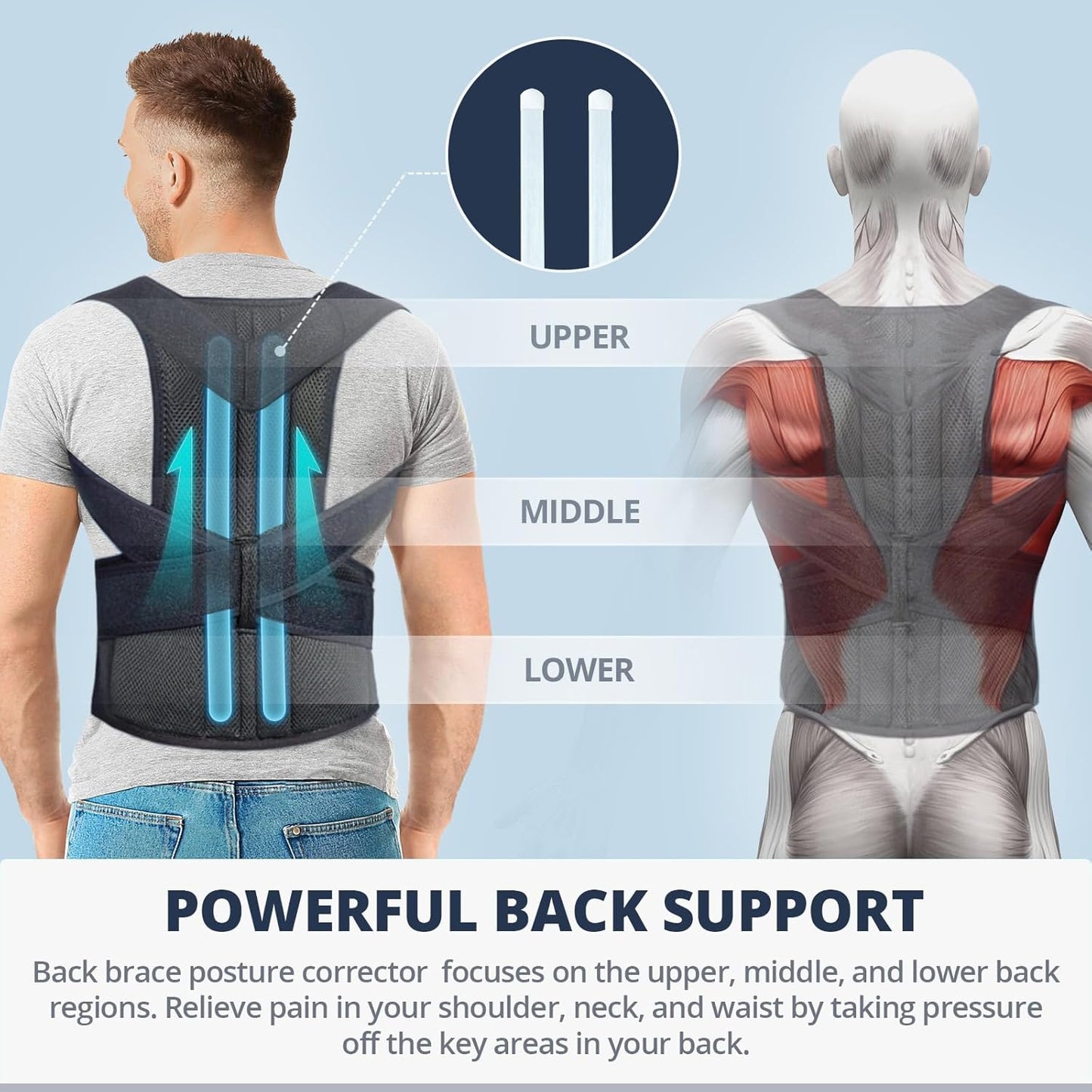 Posture Perfect Back SupportTM